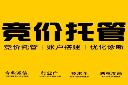 行业领先企业的SEM广告策略与效果分析